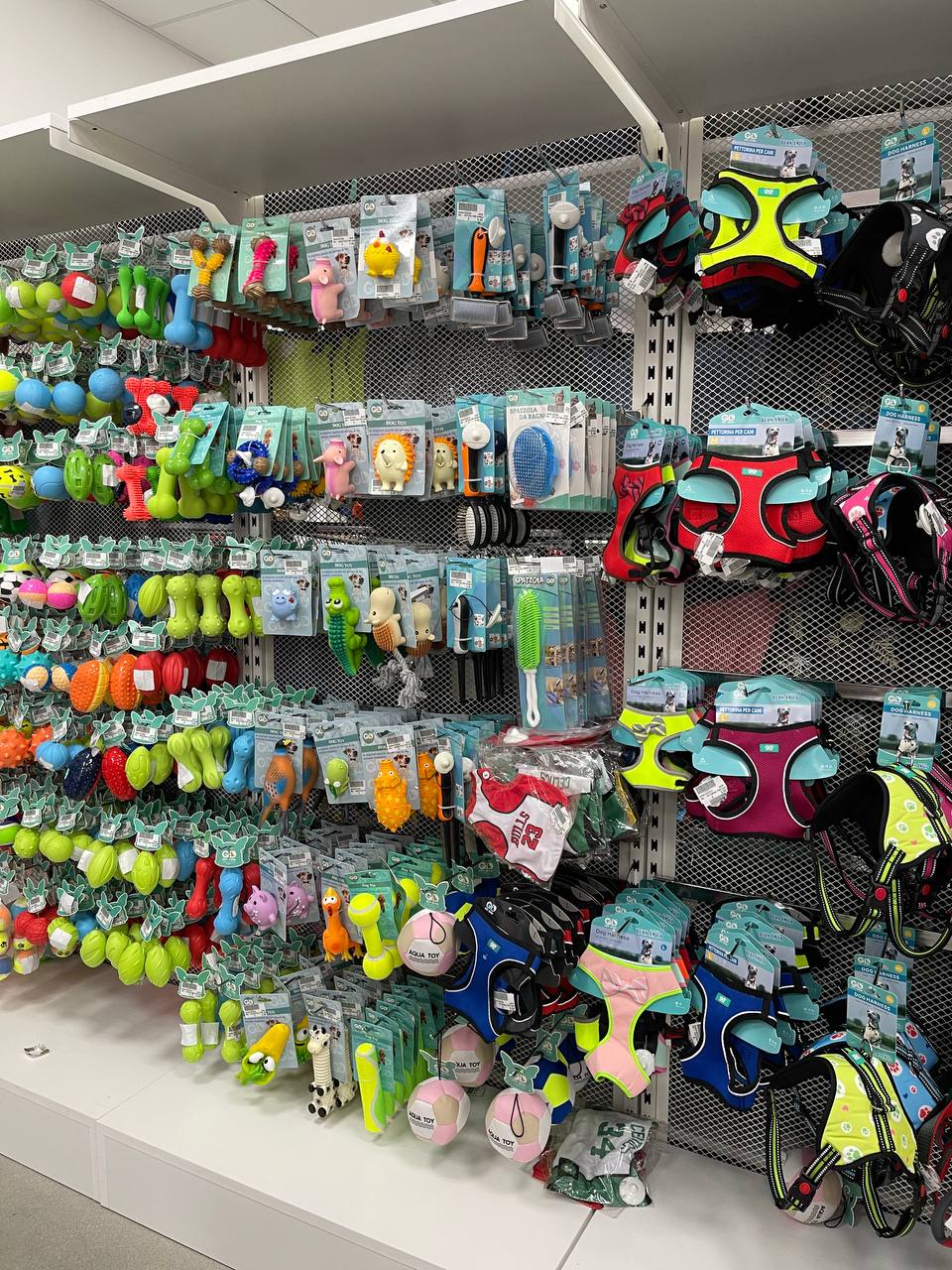 accessori-per-animali (1)